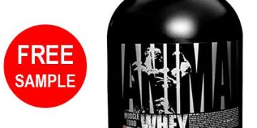 FREE Universal Nutrition Whey Protein Sample